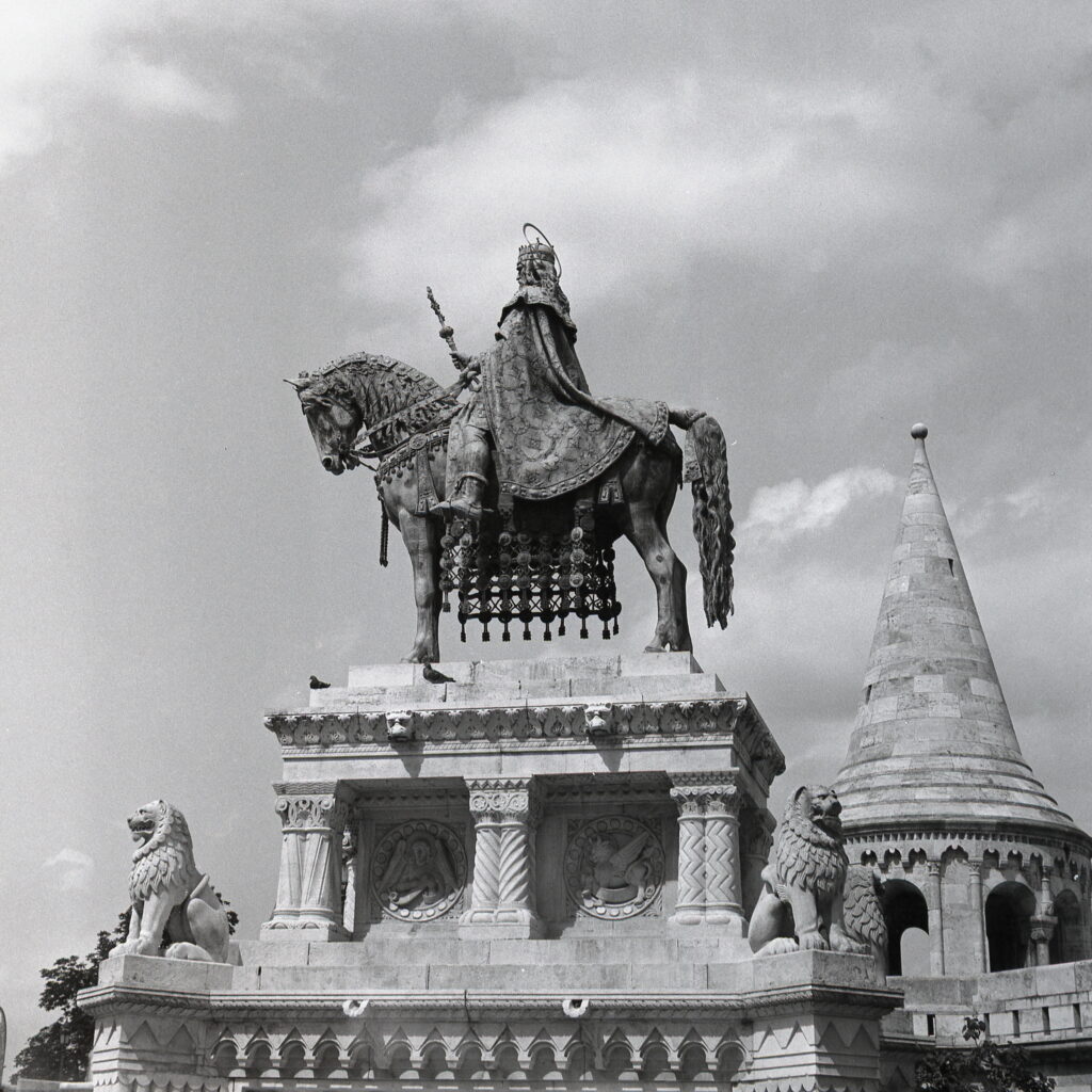 Salyut Industar-39 Mir-3 Fomapan 100-9699