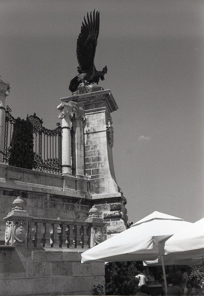 Zorki2C Jupiter-12 3,5cm Agfa APX 100-9072