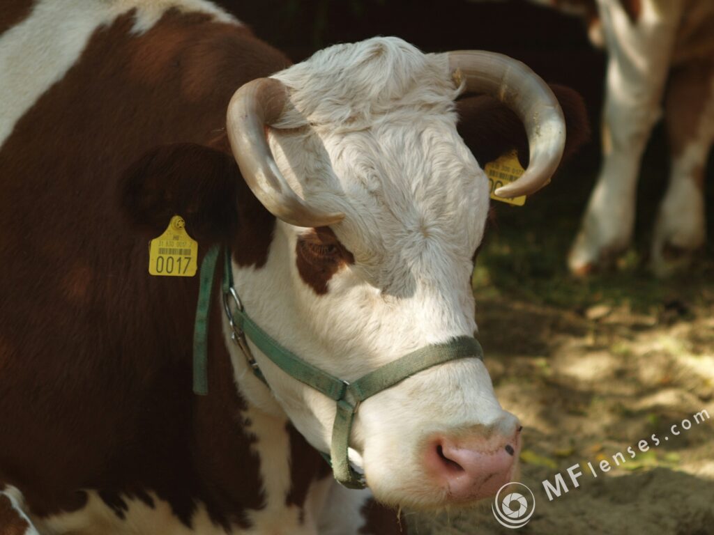 120mm f2.8 MC-3173