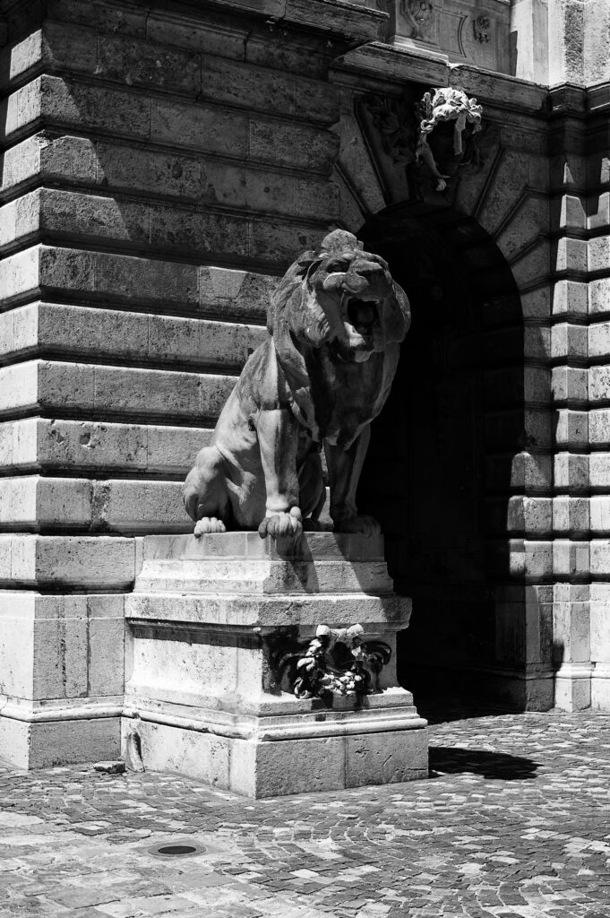 Flektogon 35mm f2.8 alu Sony NEX-3-13390