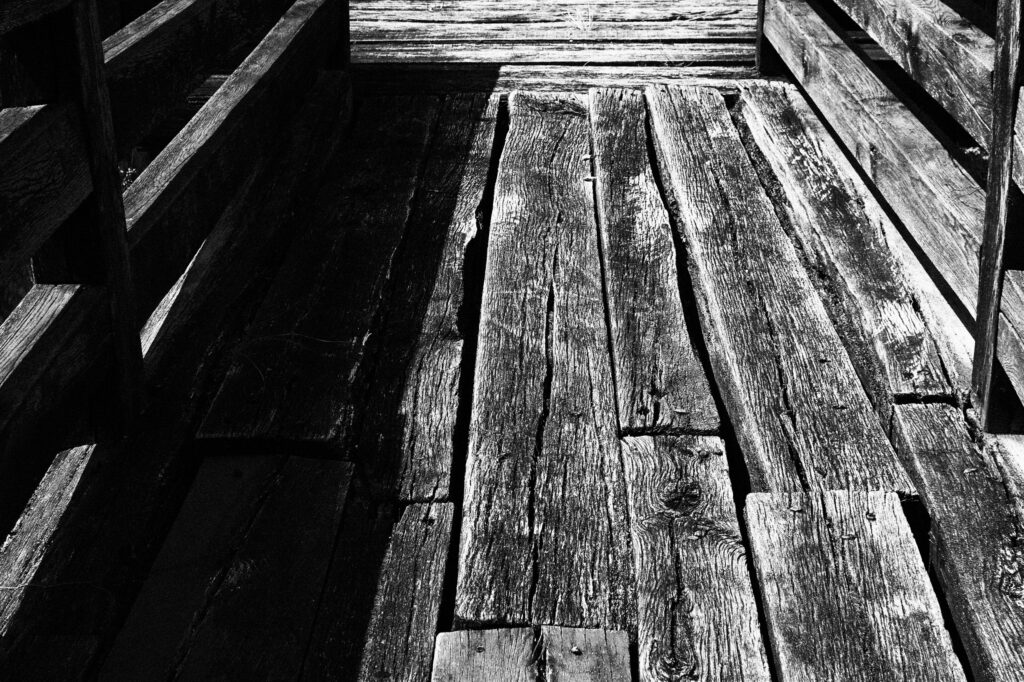 Flektogon 35mm f2.8 alu Sony NEX-3-13393