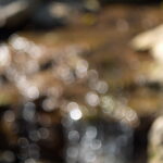 Aus Jena Pancolar 50mm f1.8 RED MC-10148