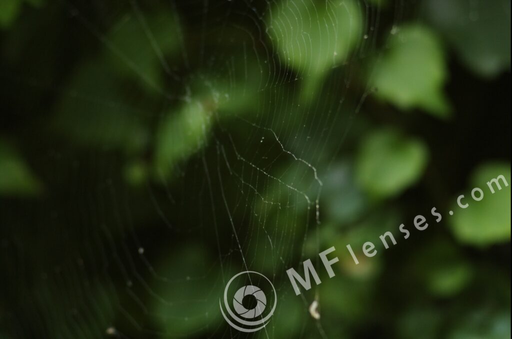 Carl Zeiss Jena Sonnar 135mm f/3.5-22 electric-132