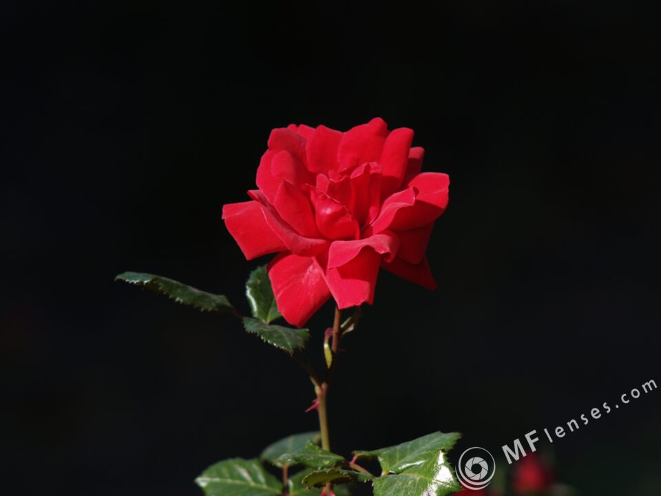Sonnar 200mm f2.8 electric M42