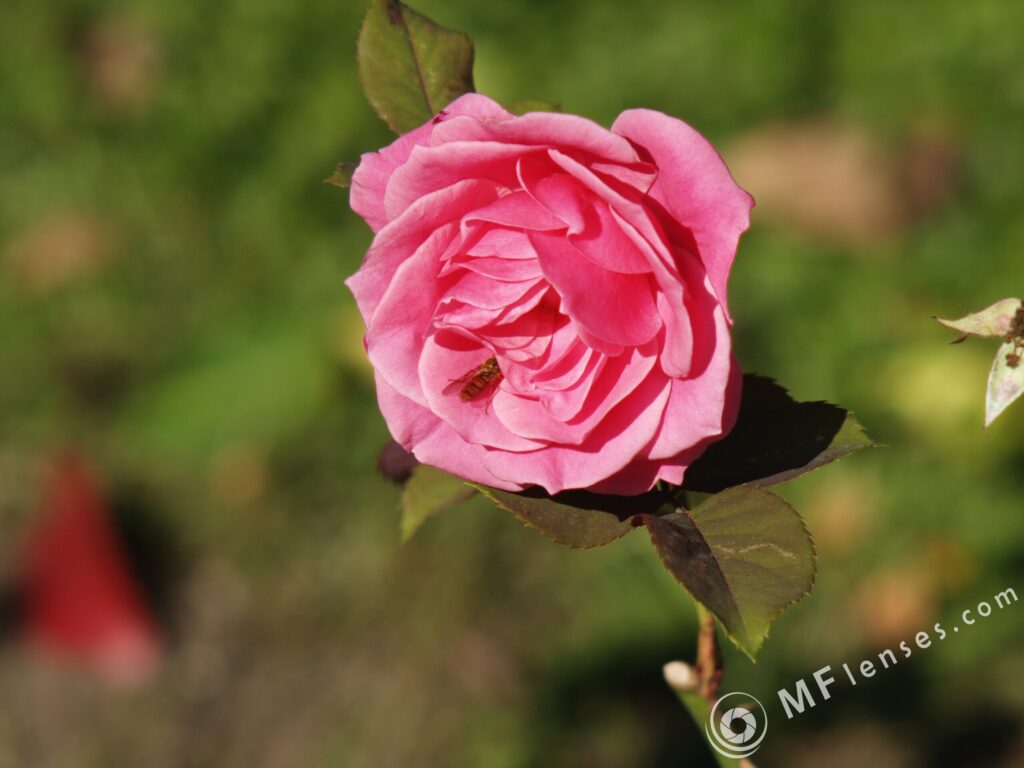 Sonnar 200mm f2.8 electric M42-3313