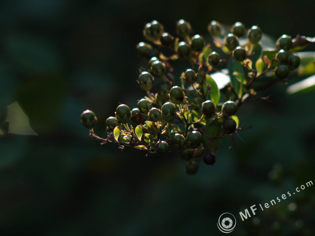 Sonnar 200mm f2.8 electric M42-3318