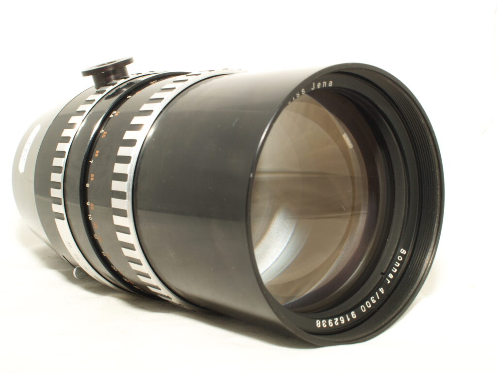 Sonnar 300mm f4 zebra-6631