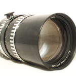 Sonnar 300mm f4 zebra-6631
