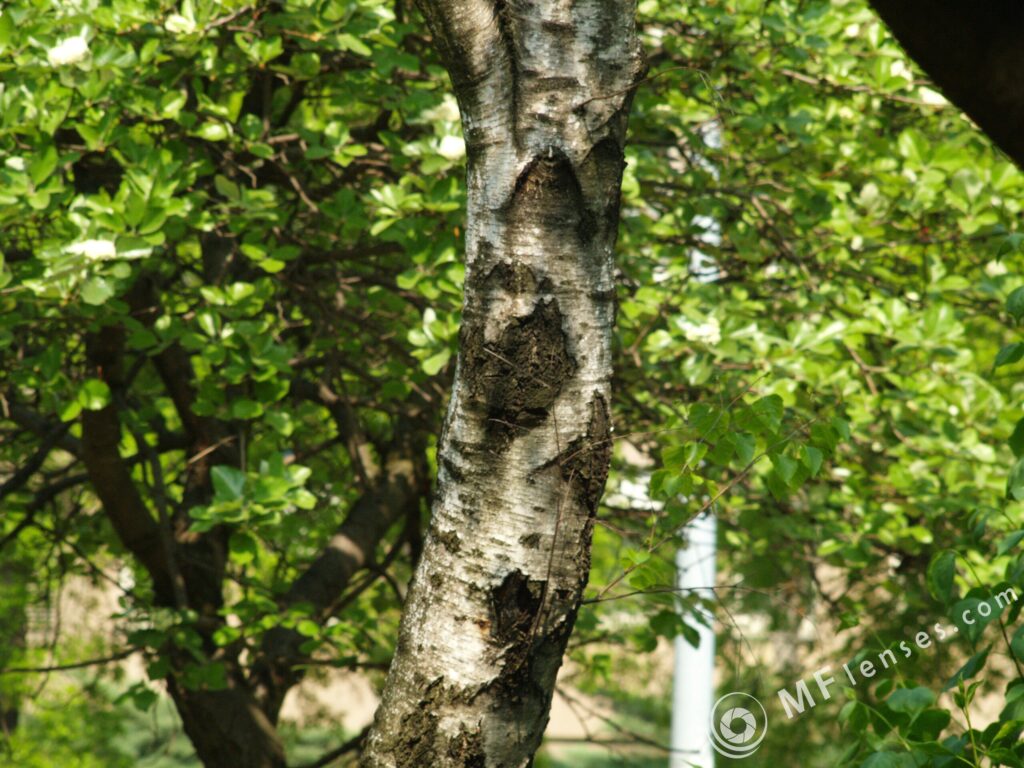Meyer-Optik Domigor 135mm f/4-1949