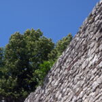 Domiplan 50mm f2.8 Meyer Optik-9428