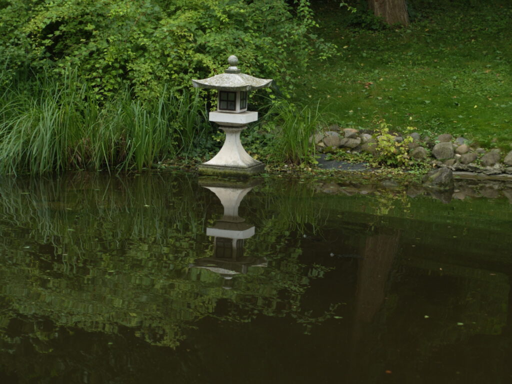 Domiron 50mm f2 Meyer-Optik-5039