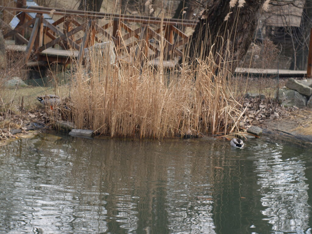Primoplan 58mm f1.9-4180