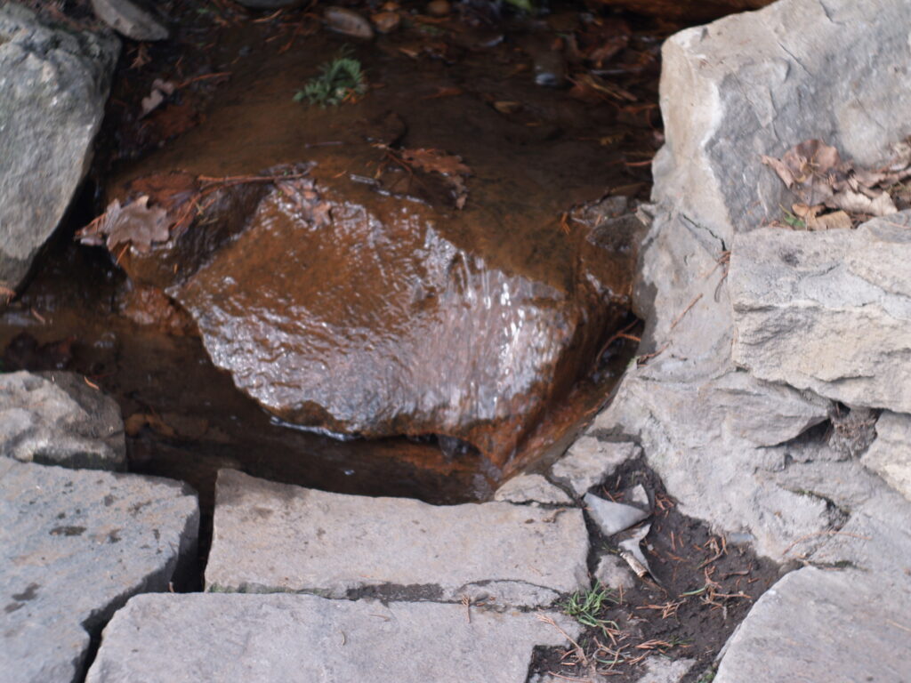 Primoplan 58mm f1.9-4181