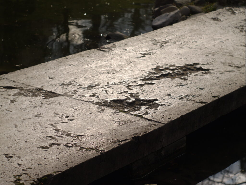 Primoplan 58mm f1.9-4184