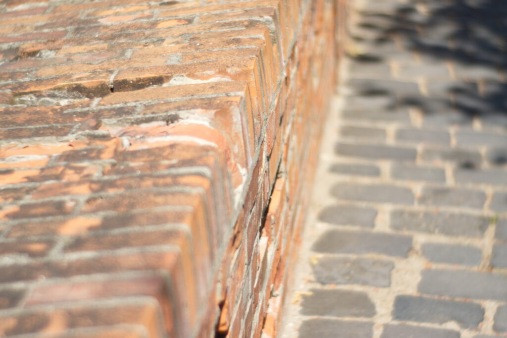 Primoplan 75mm f1.9 Exakta-9552