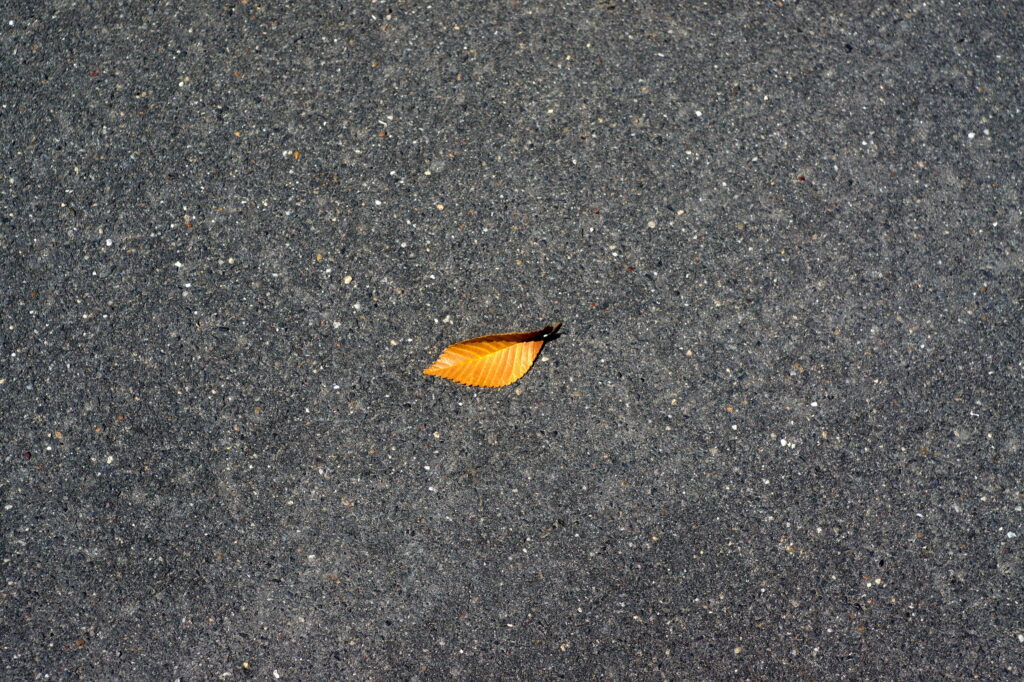 Primotar 50mm E f3.5 M42 Sony NEX-3-10173