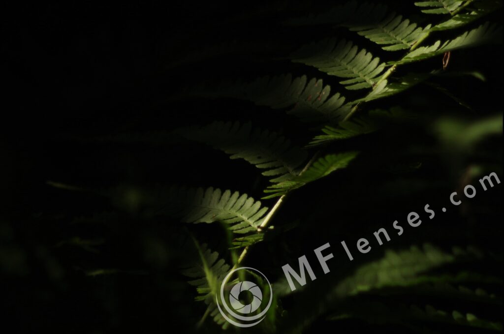 Meyer-Optik Telemegor 180mm f/5.5-22 alu-222