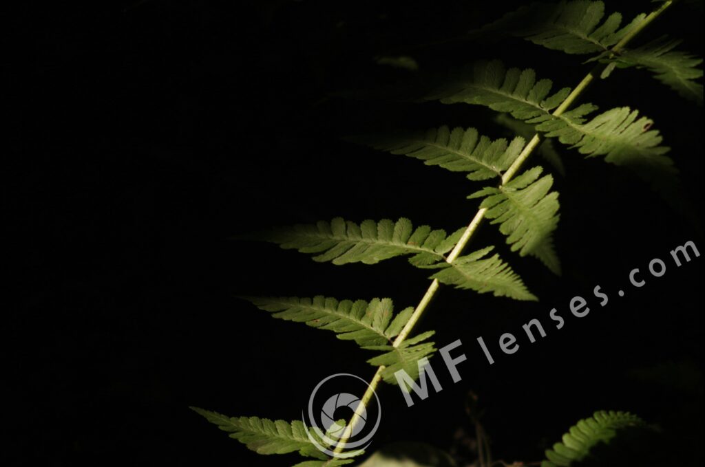 Meyer-Optik Telemegor 180mm f/5.5-22 alu-223