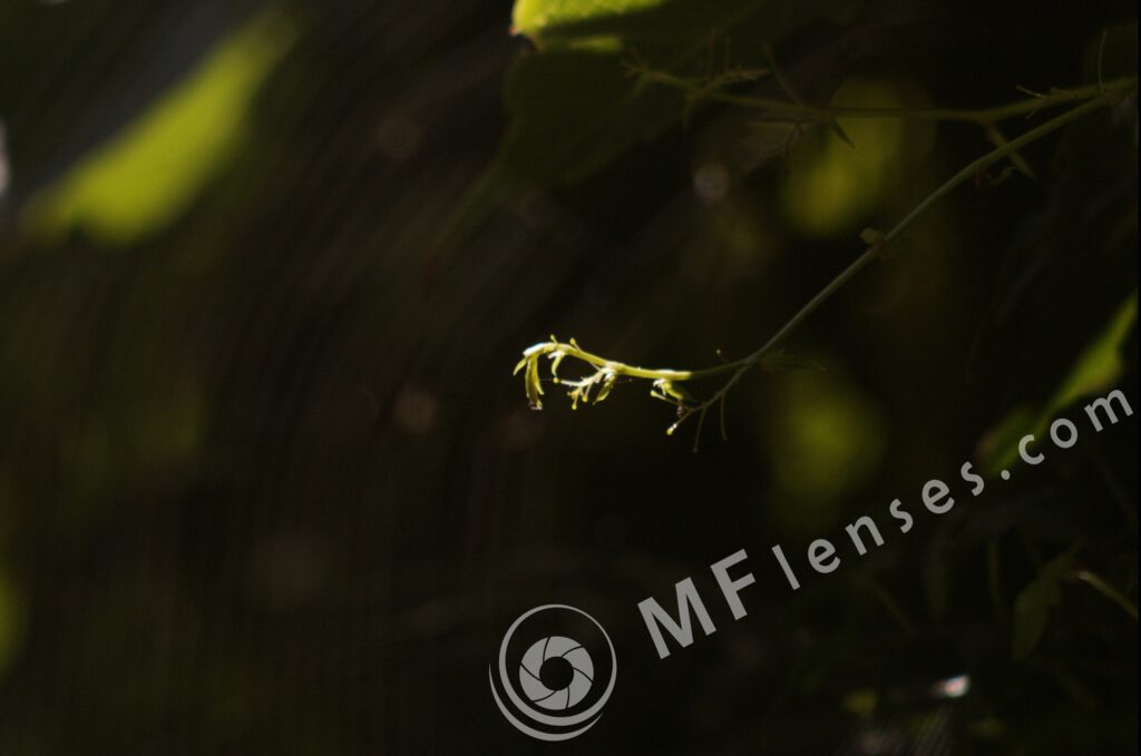 Meyer-Optik Telemegor 180mm f/5.5-22 alu-37