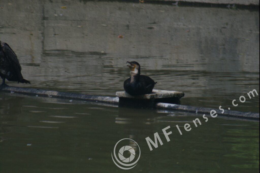 Pentacon/Praktica 500mm f/5.6-22 MC-58