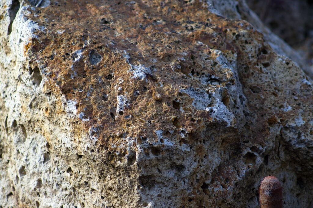 Pentacon 200mm f4 electric M42 Sony NEX-3-10240