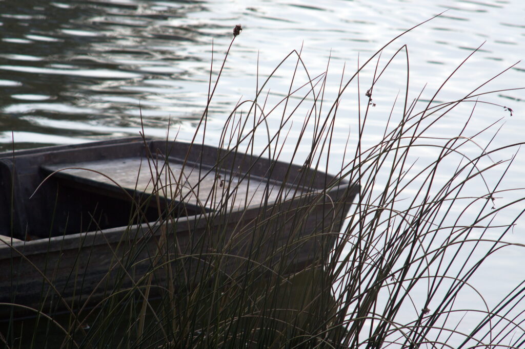 Pentacon 200mm f4 electric M42 Sony NEX-3-10246