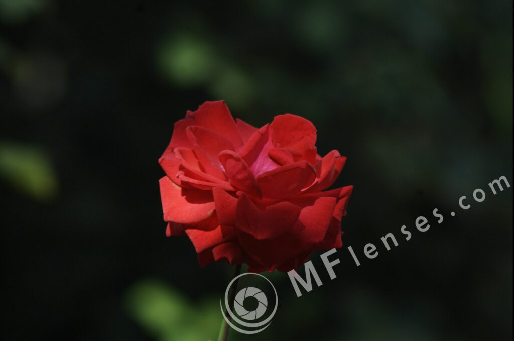 Pentacon 200mm f/4 pre-set M42 mount-290