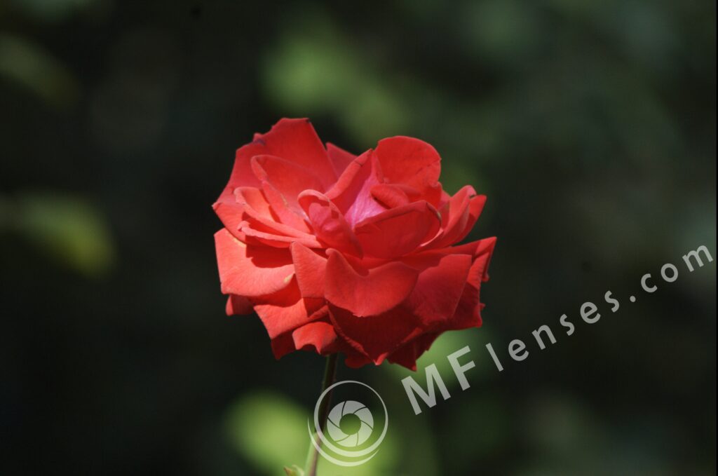 Pentacon 200mm f/4 pre-set M42 mount-291