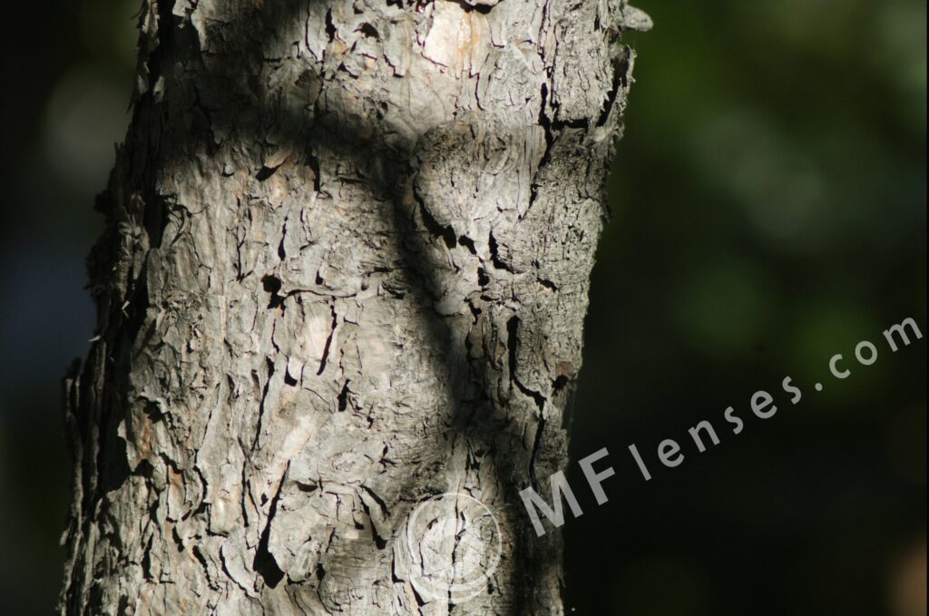 Pentacon 200mm f/4 pre-set M42 mount-296