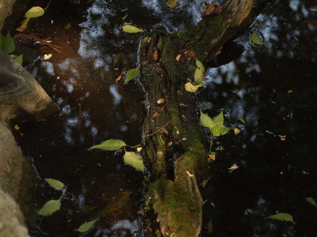 3.6/35-70mm MC Olympus OM-4568