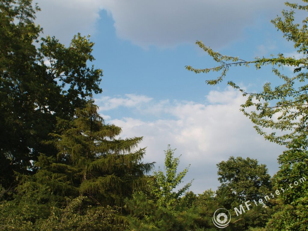 Soligor 28mm f2 C/D pro lens-2490