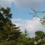 Soligor 28mm f2 C/D pro lens-2490