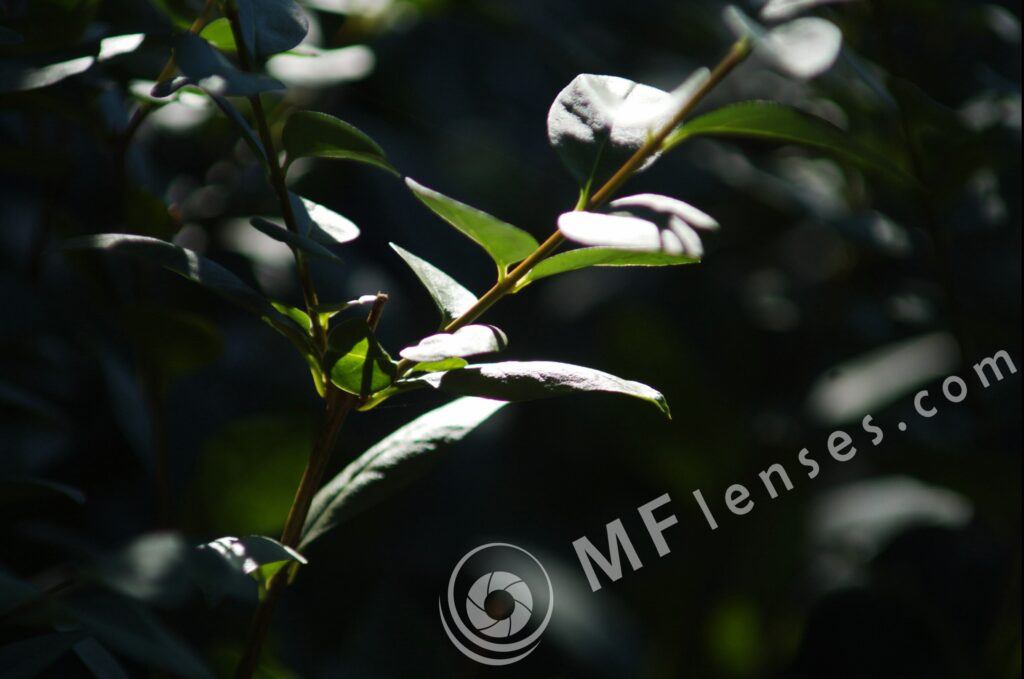 Tamron  80-210mm f/3.8-4 03A macro 1:1.14-171