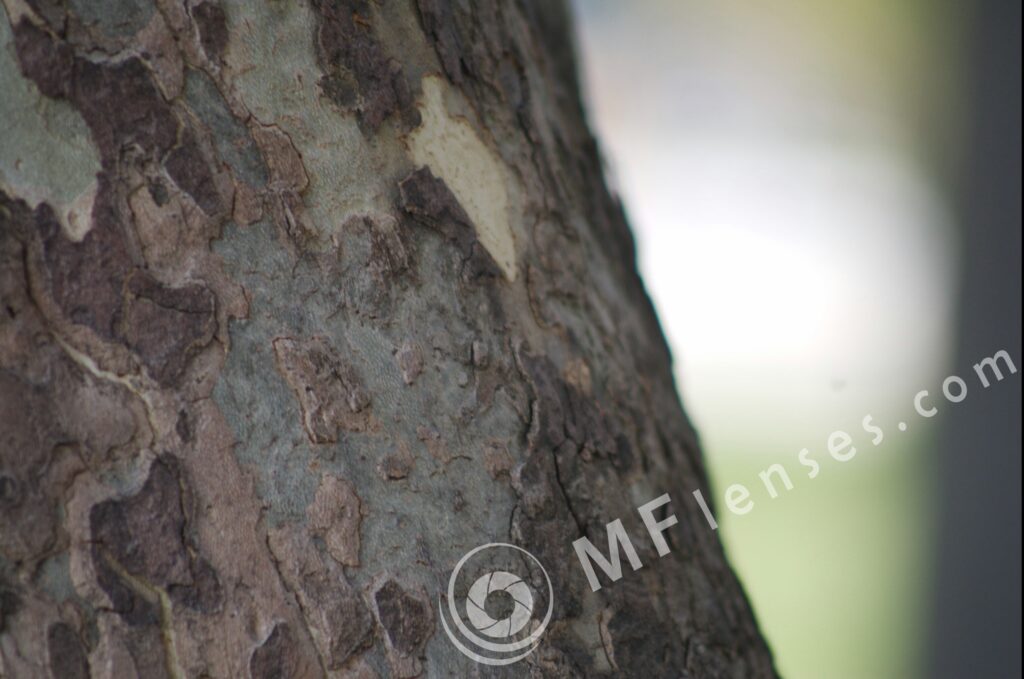 Tamron  80-210mm f/3.8-4 103A macro 1:1.14-276