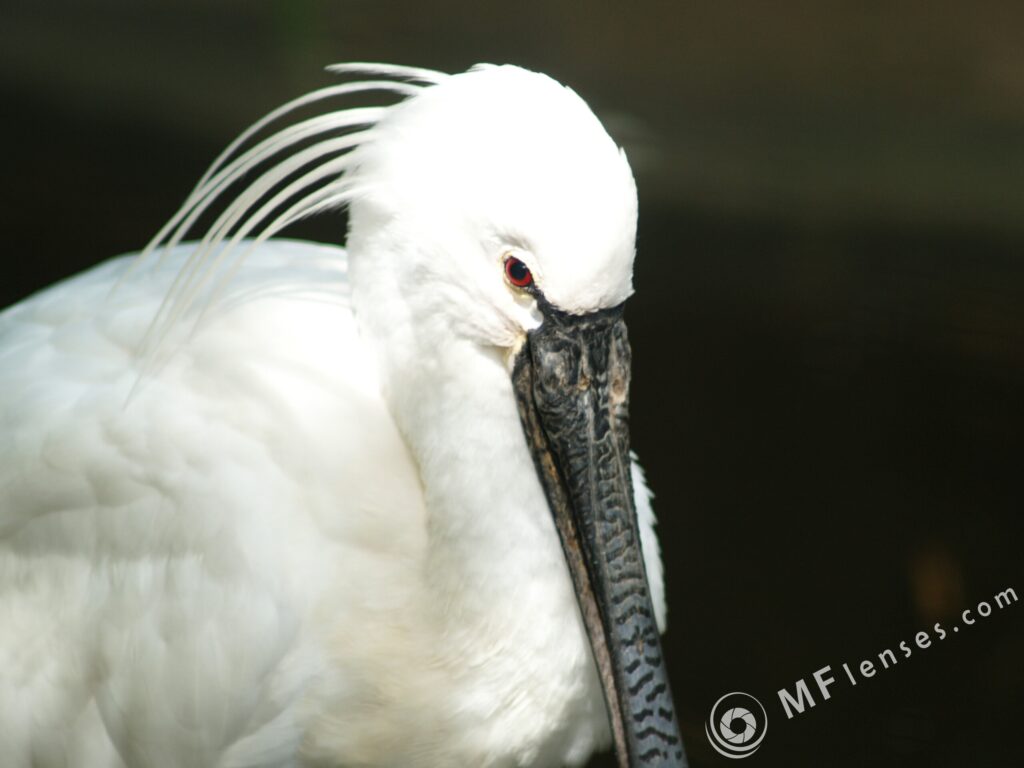 Tamron 135mm f/2.5-2285