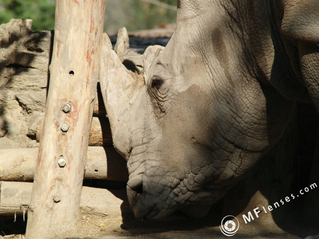 Tamron 200mm f3.5 04B-3080