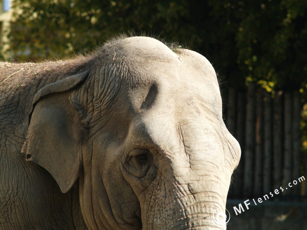 Tamron 200mm f3.5 04B-3082