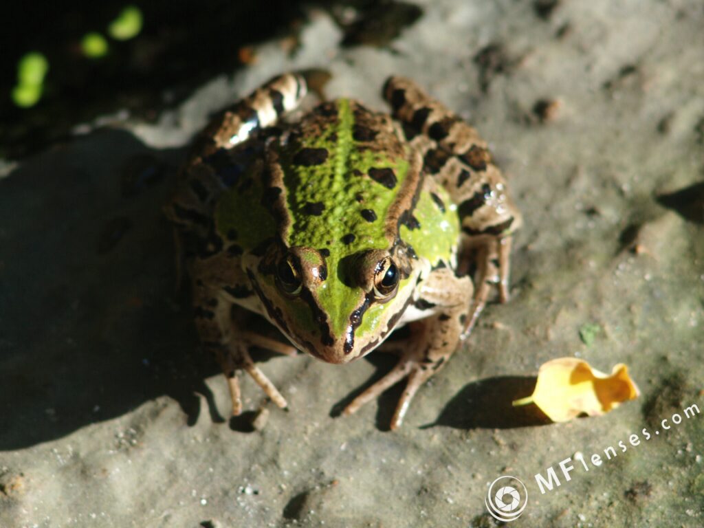 Tamron 200mm f3.5 04B-3086