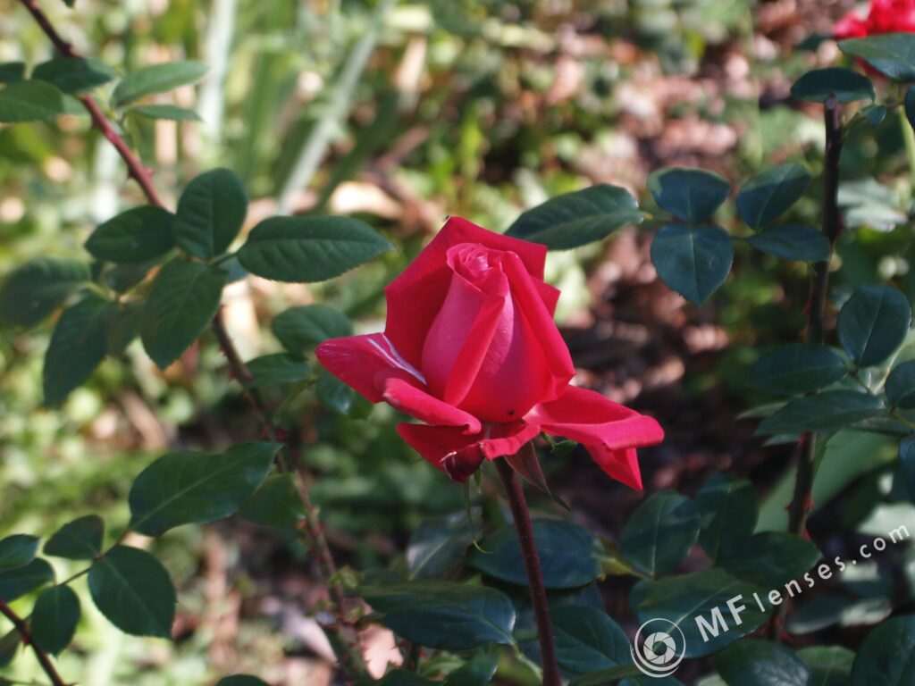 Tamron SP 24-48mm f3.5 13A-3138