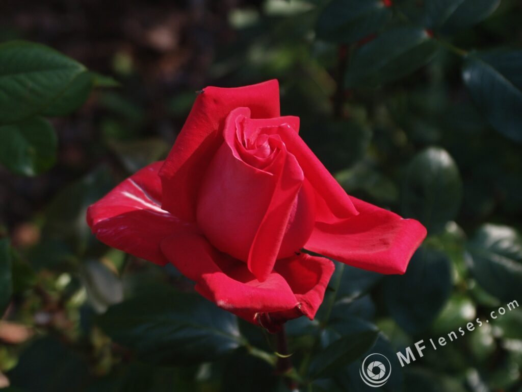 Tamron SP 24-48mm f3.5 13A-3139