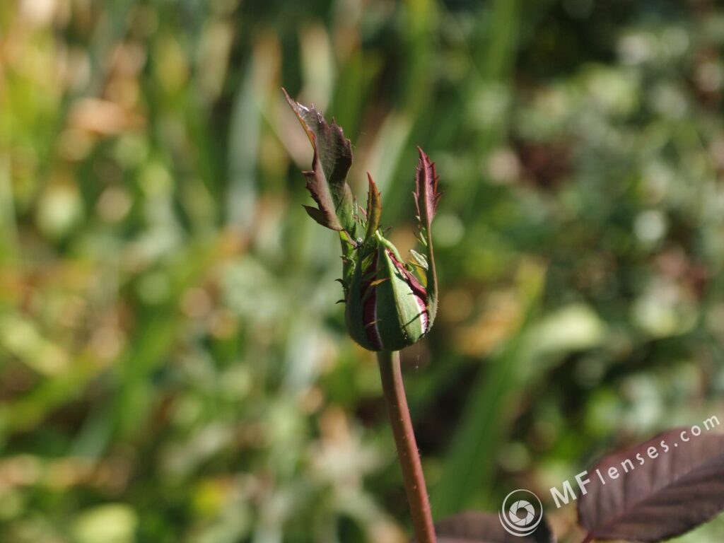 Tamron SP 24-48mm f3.5 13A-3140