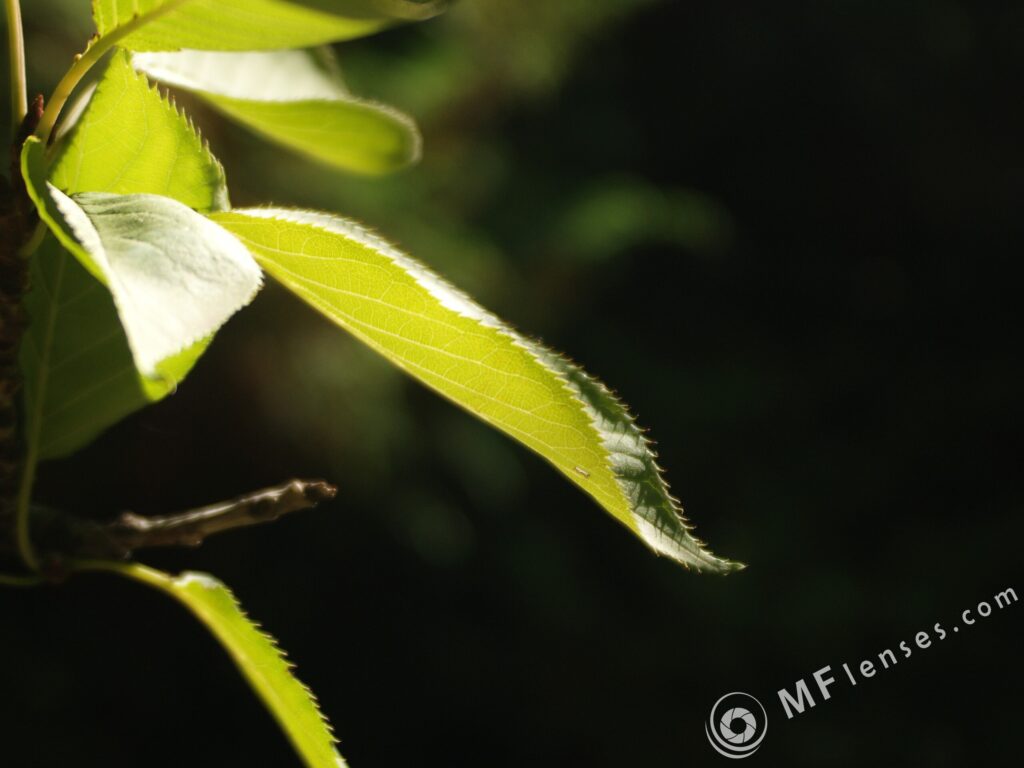 Tamron SP 24-48mm f3.5 13A-3147
