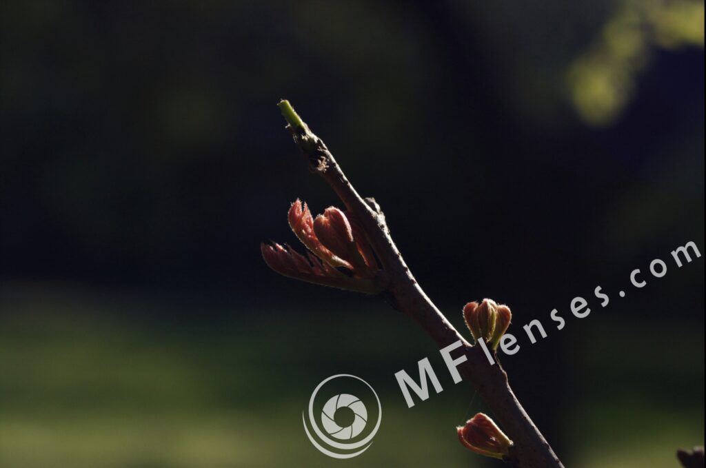Tamron SP 35-80mm f/2.8 01A-1803