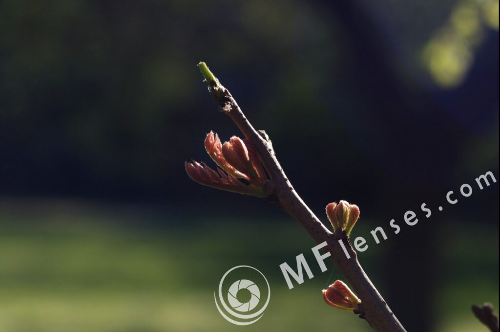 Tamron SP 35-80mm f/2.8 01A-1804