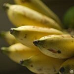Tamron SP 70-150 f2.8 51A-2627