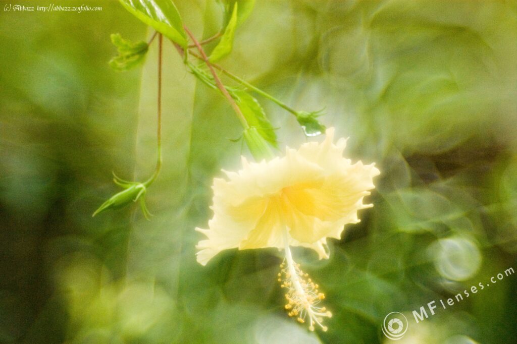 Tamron SP 70-150 f2.8 51A-2629