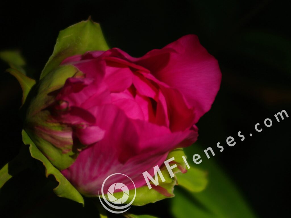 Tamron SP 70-210mm f/3.5 19AH-1813