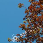 Tamron SP 70-210mm f/3.5 19AH-1817