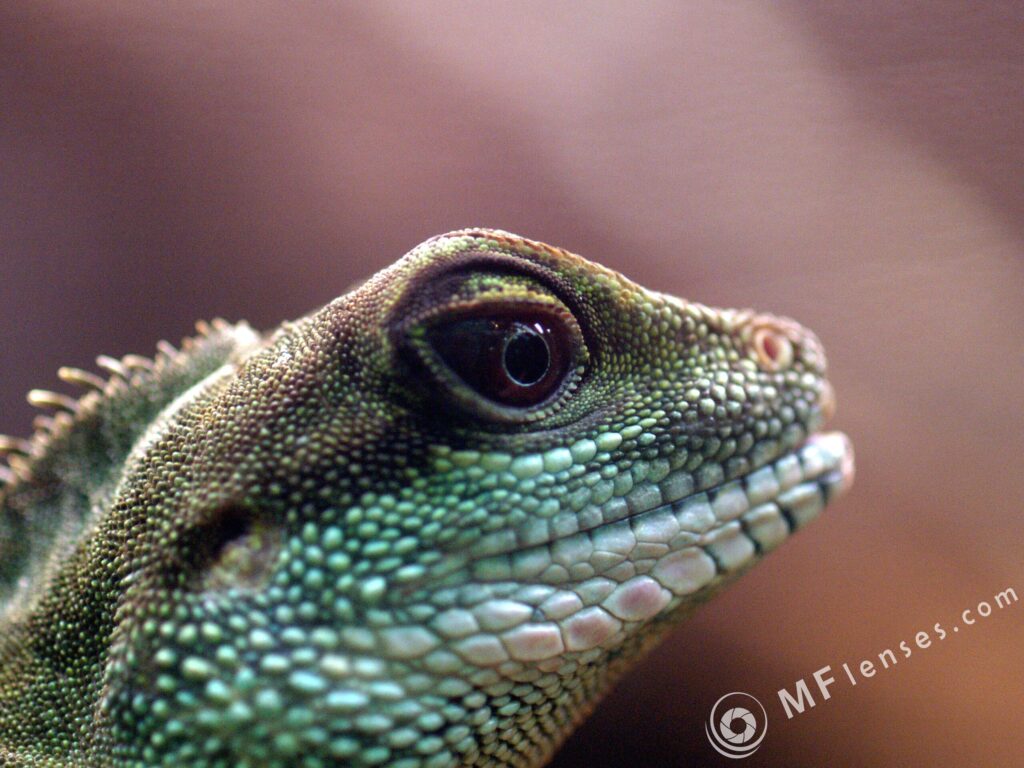 Tamron SP 90mm f2.5 52B-3819