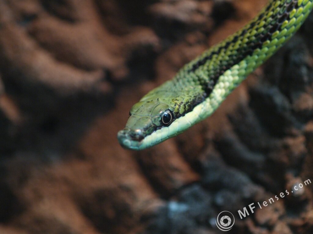 Tamron SP 90mm f2.5 52B-3823